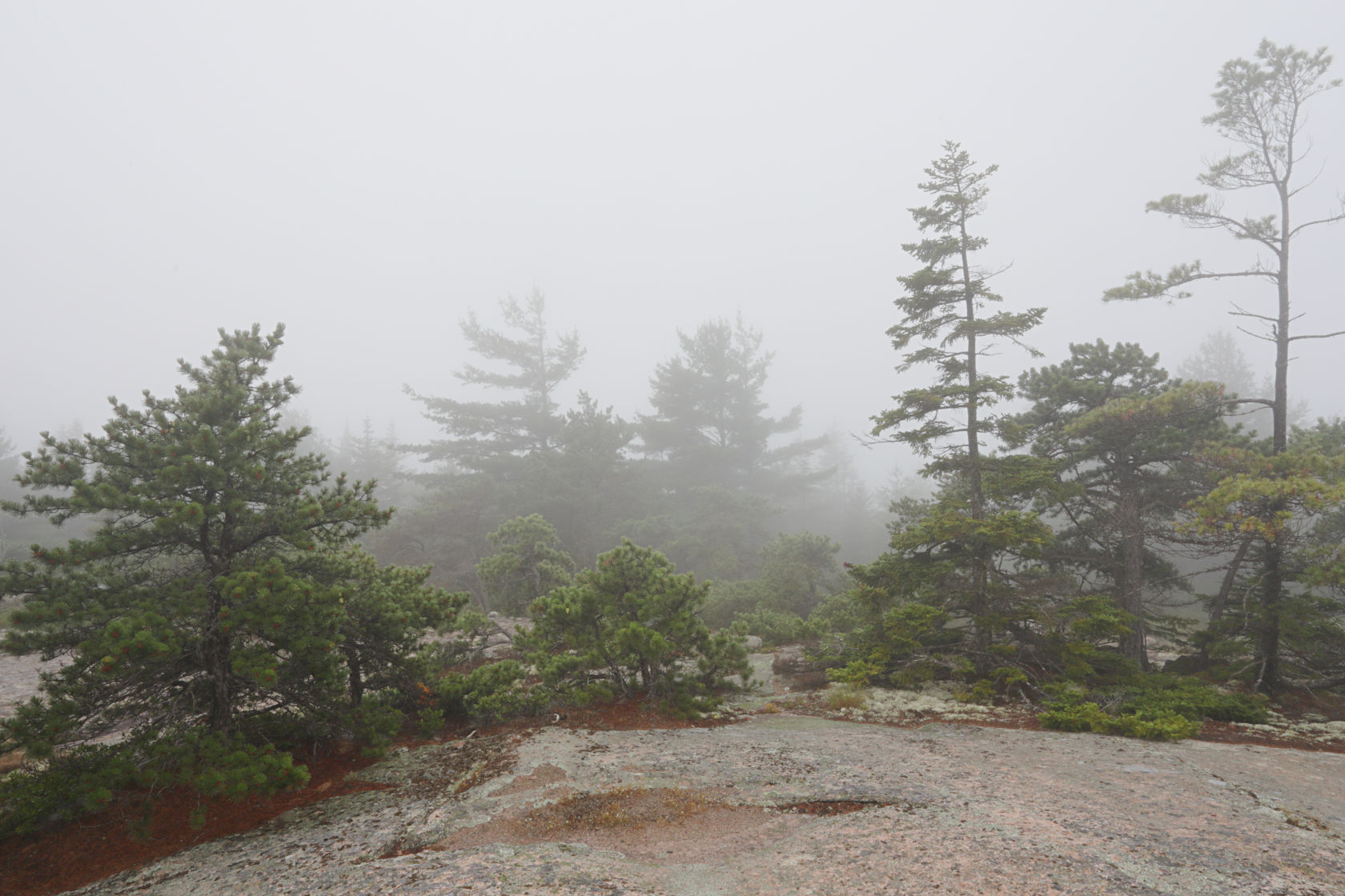 Cadillac Mountain