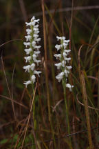 Atlantic County Natural Areas
