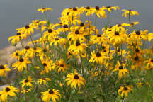 High Point State Park