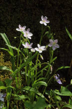 Hunterdon County Natural Areas