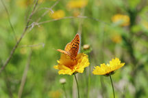 Morris County Natural Areas