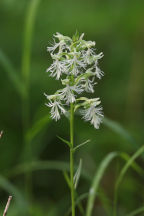 South Jersey Natural Areas