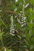 South Jersey Natural Areas