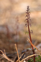 Sussex County Natural Areas