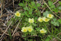 Sussex County Natural Areas