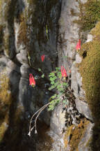 Sussex County Natural Areas