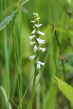 Sussex County Natural Areas