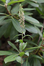 Sussex County Natural Areas