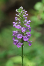 Sussex County Natural Areas