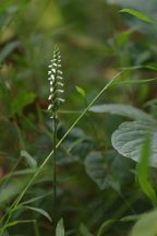 Warren County Natural Areas