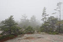 Cadillac Mountain