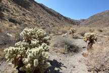 Anza Borrego Desert State Park