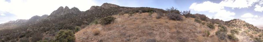 The Organ Mountains