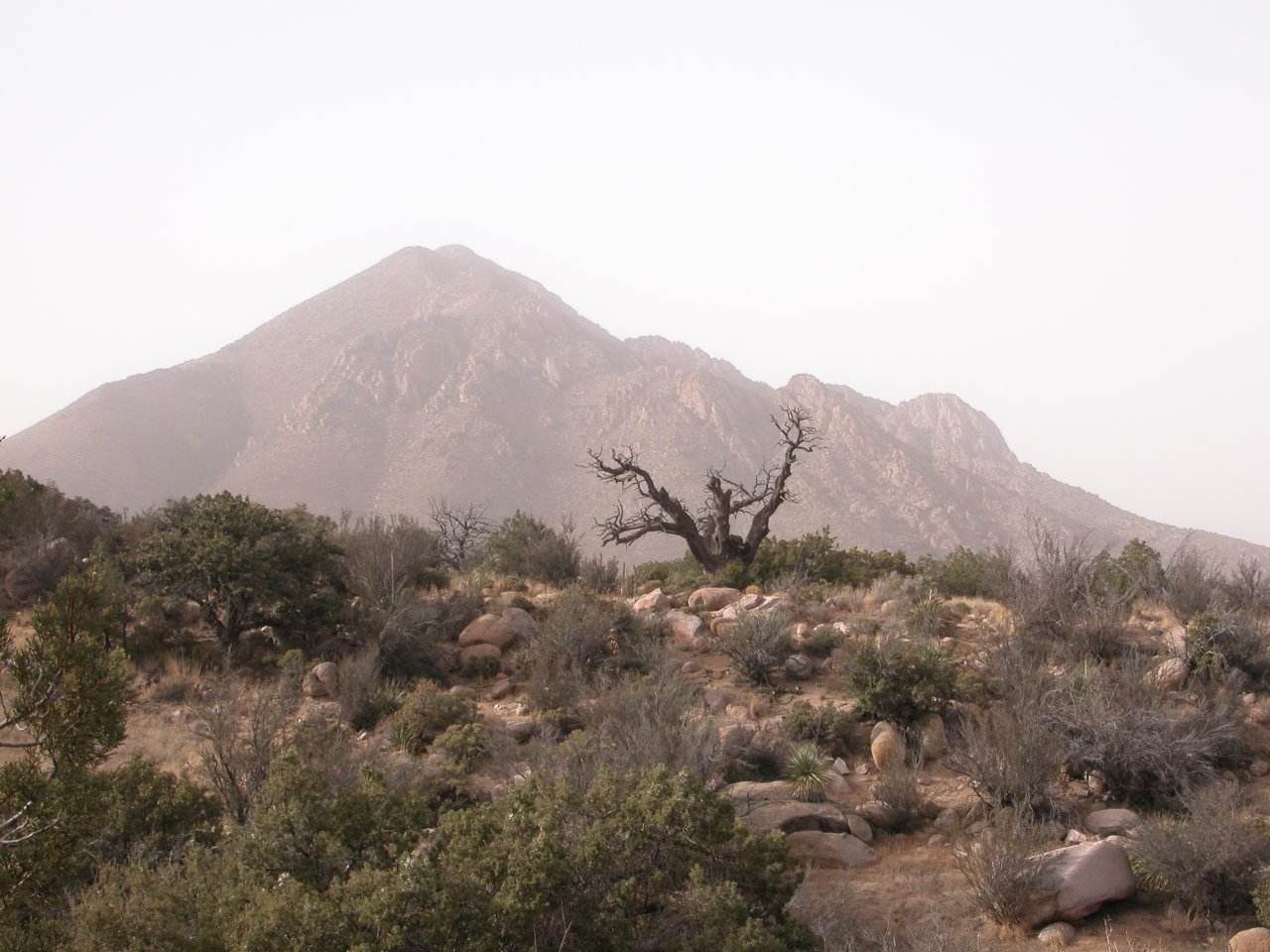 Baylor Peak