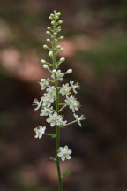 Burlington County Natural Areas