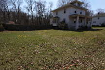 Crocuses in the Front Yard
