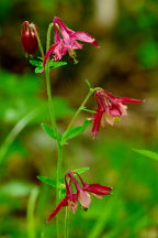 Delaware Water Gap National Recreation Area