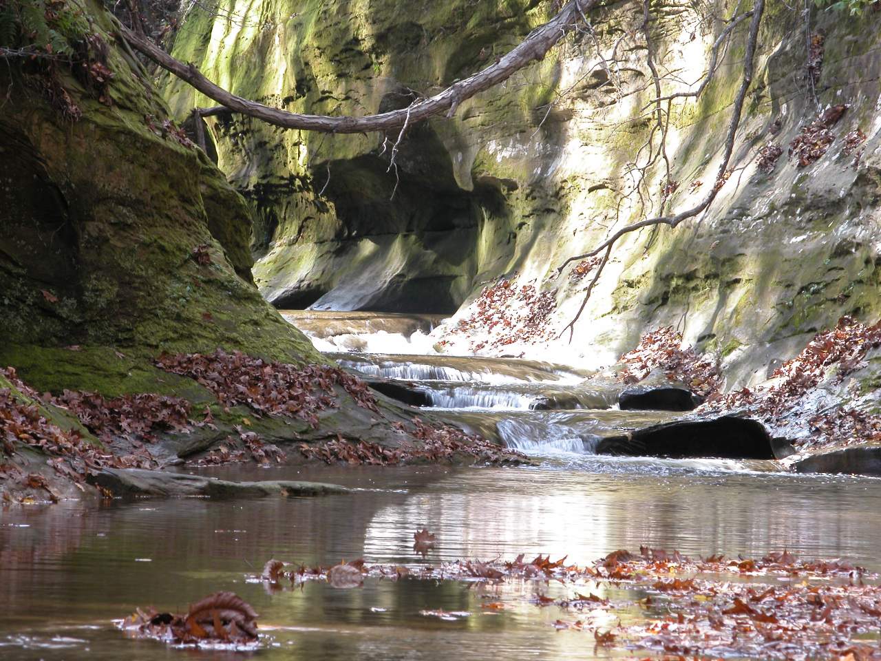 The Fall Creek Gorge