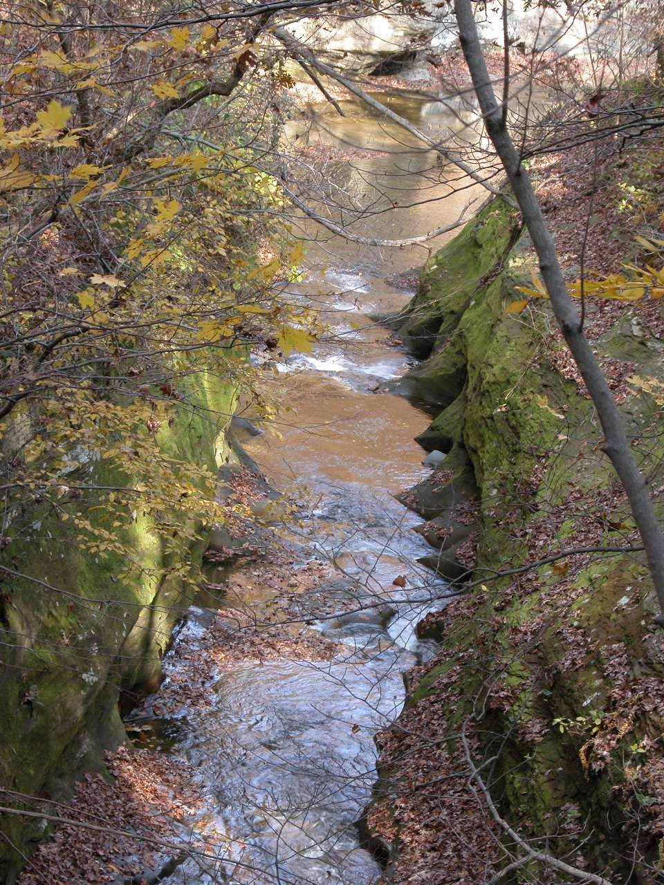 Fall Creek Gorge 2