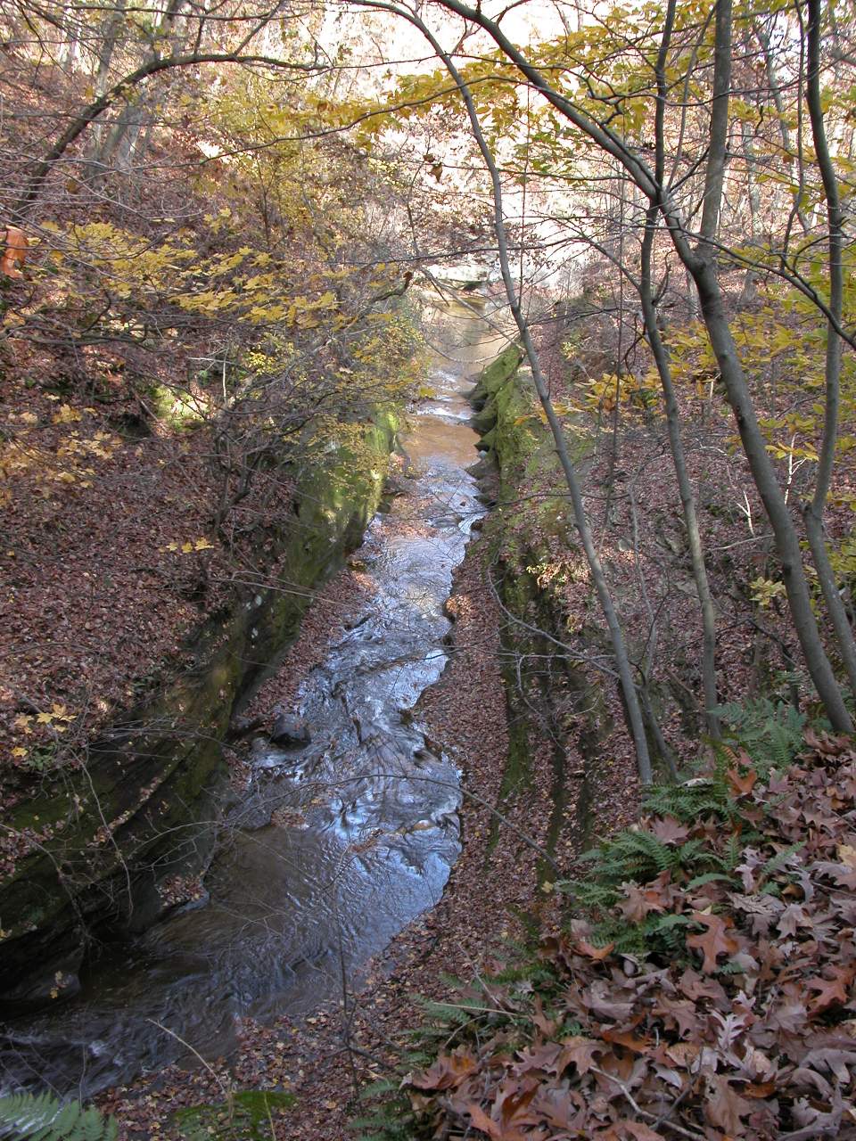 Fall Creek Gorge 3