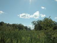 Great Swamp National Wildlife Refuge Wilderness Area