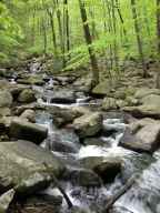 Hacklebarney State Park