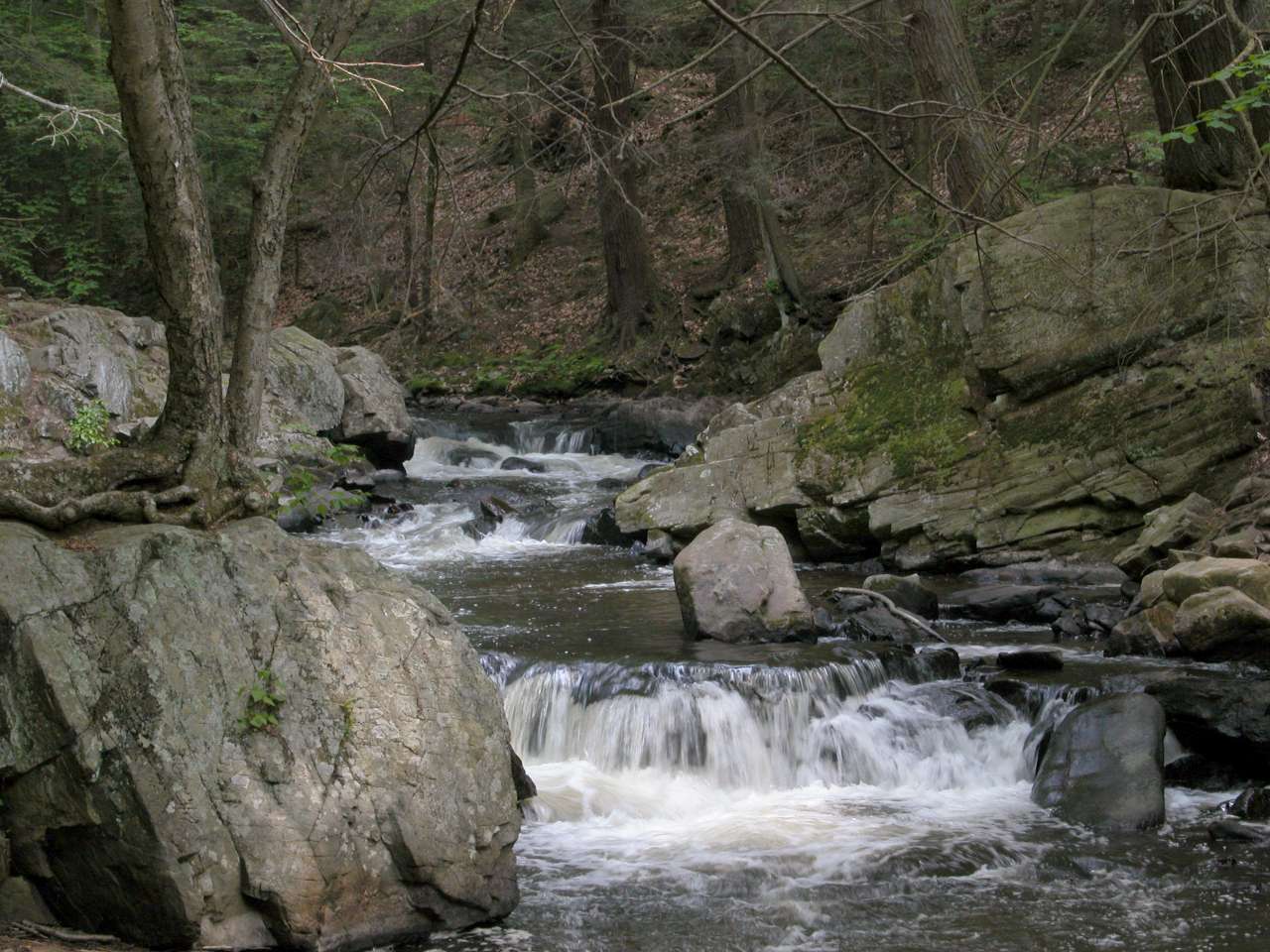 Waterfall on the Black River