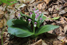 Hunterdon County Natural Areas