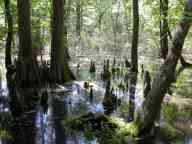 Southern Indiana natural areas