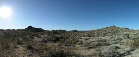 Desert Panorama