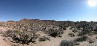 Desert Panorama