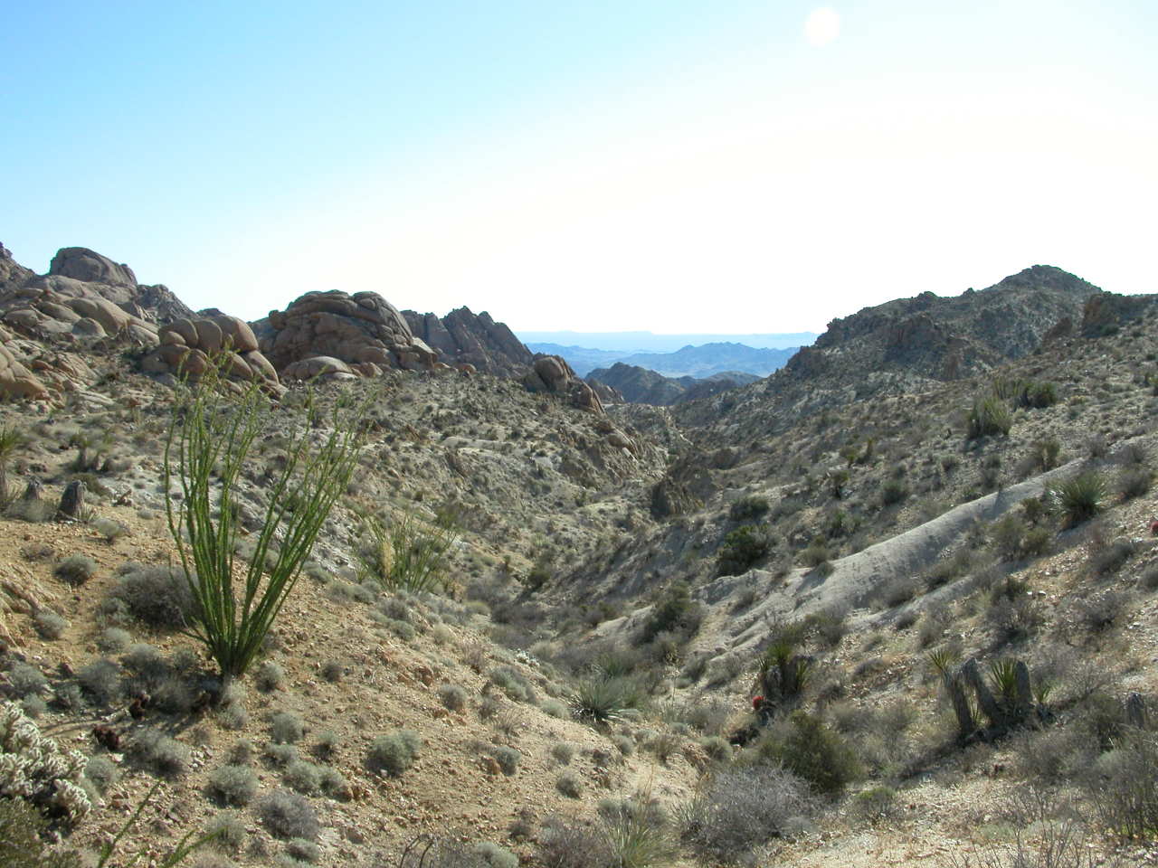 Desert Valley