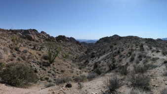 Desert Panorama