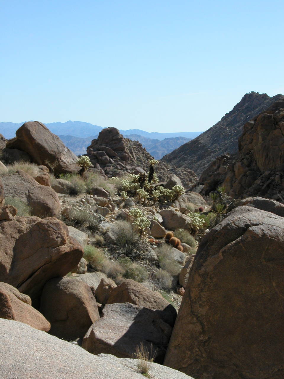Desert Valley