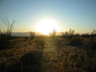 Joshua Tree National Park