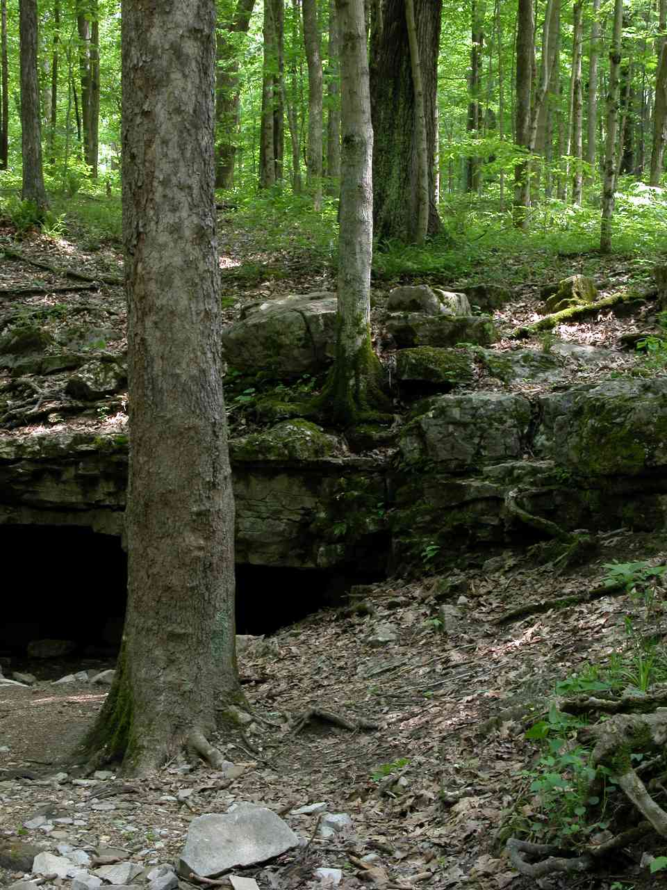 Wolf Cave entrance