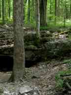 Wolf Cave entrance