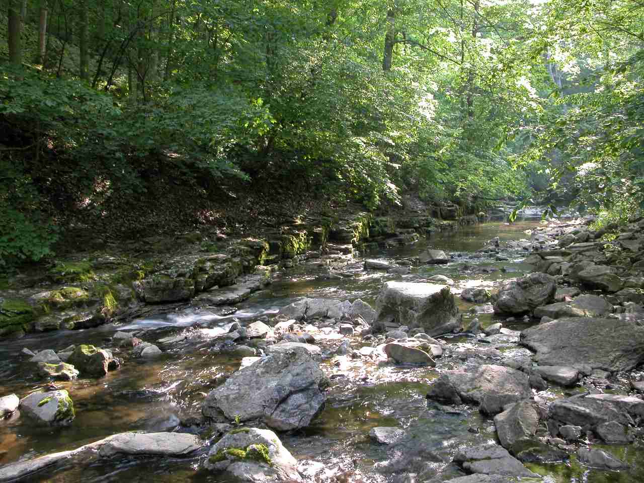 McCormick's Creek