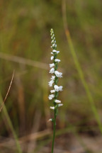 Middlesex County Natural Areas