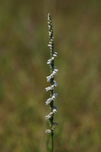 Ocean County Natural Areas