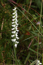 Ocean County Natural Areas