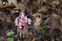 Passaic County Natural Areas