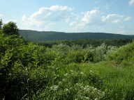 Pequest Wildlife Management Area