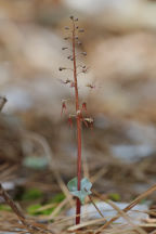 Salem County Natural Areas