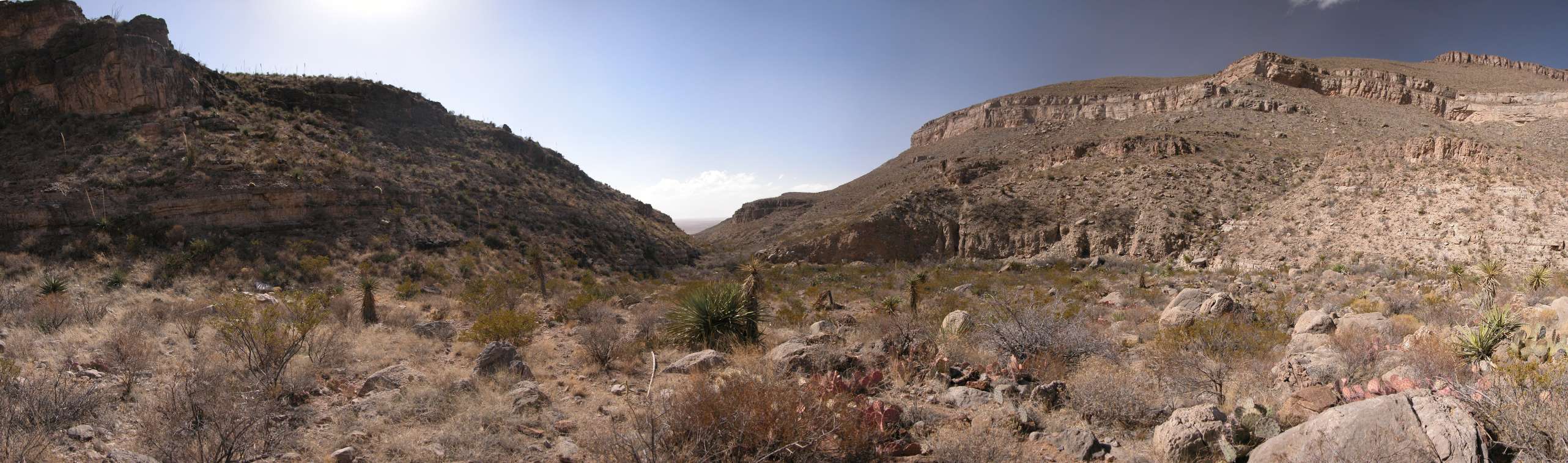 Looking Out of the Canyon