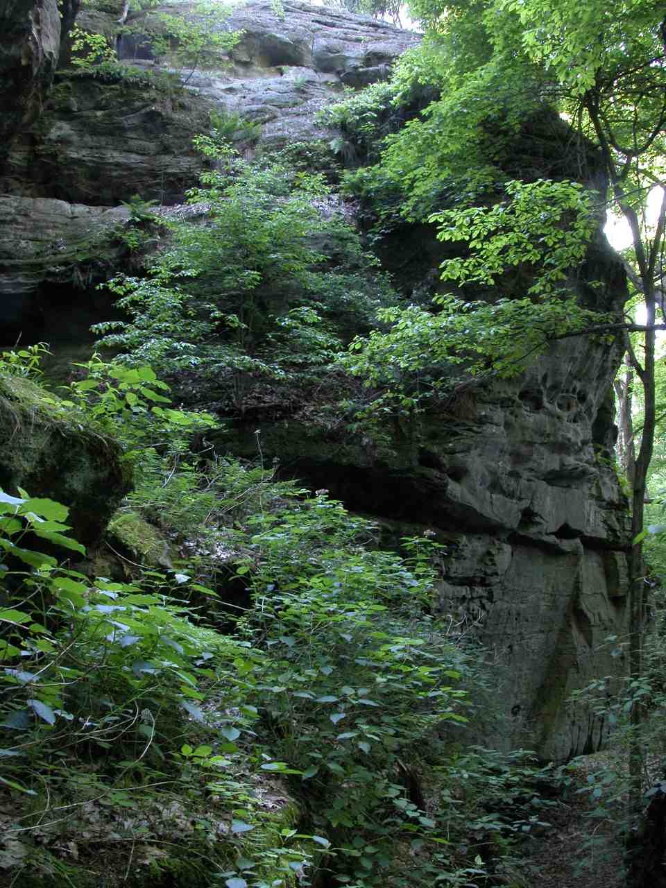 High Knob