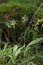 South Jersey Natural Areas