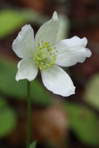 Sussex County Natural Areas