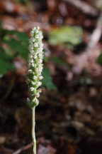 Sussex County Natural Areas