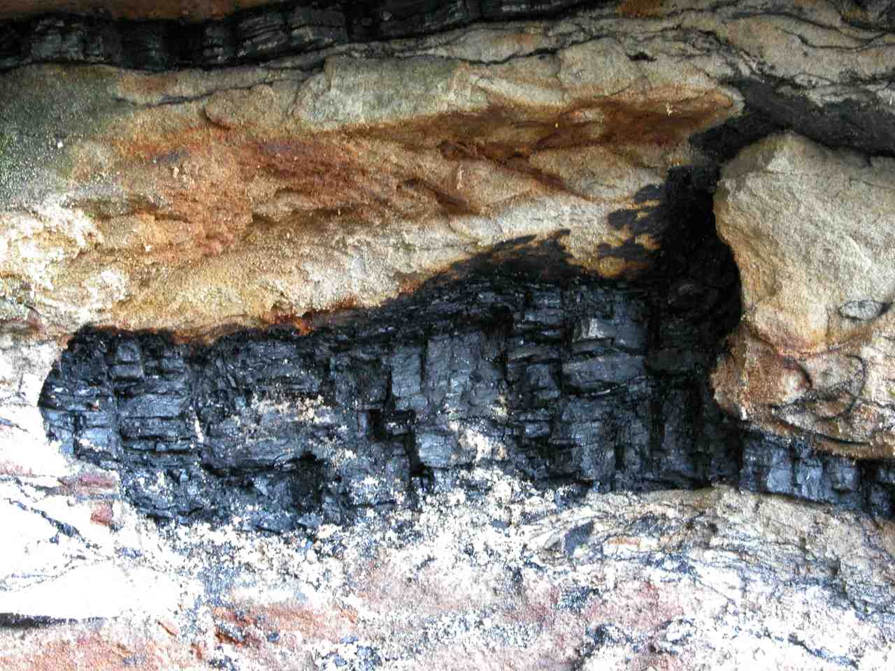 Coal vein
